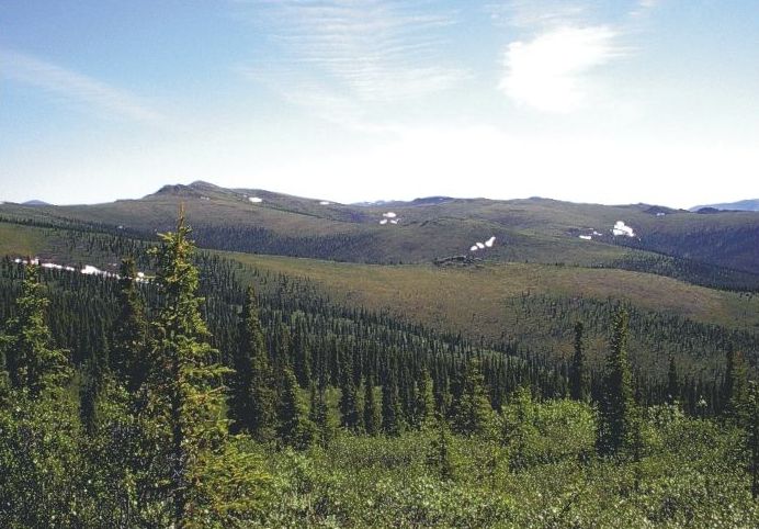 SE Boundary area